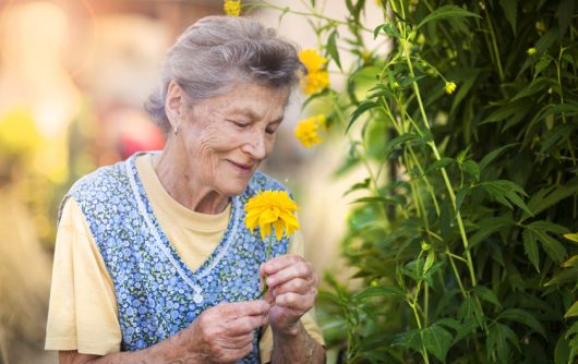 femme âgée, sentir les fleurs