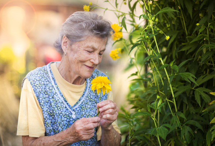 femme âgée, sentir les fleurs