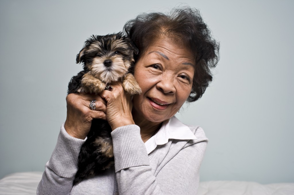 femme aînée, étreindre, petit chien