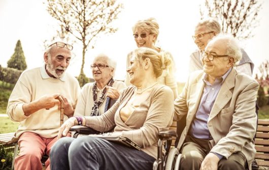 groupe de personnes âgées assis dans un parc en riant