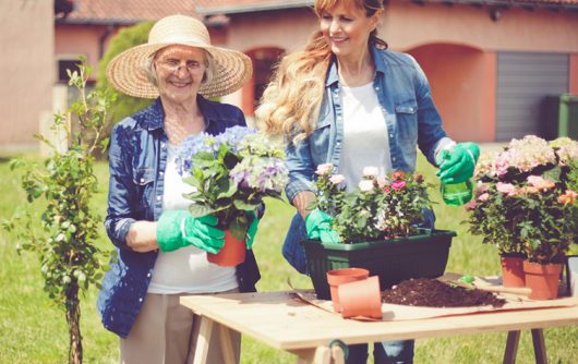 Senior woman and young woman gardening