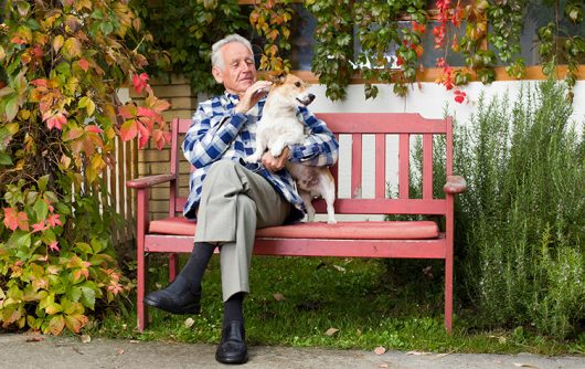 homme aîné, sur, banc, caresser, chien