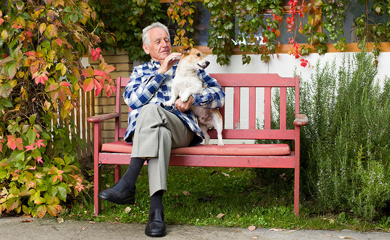 homme aîné, sur, banc, caresser, chien