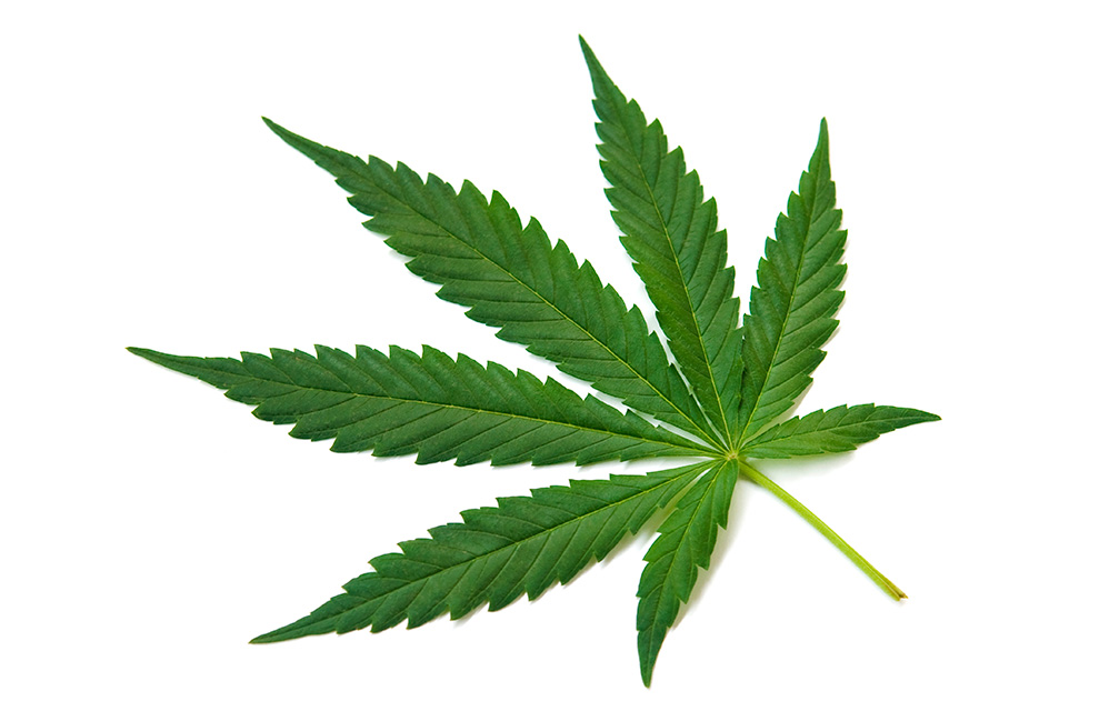 Benefits Associated With Weed For Crohn's Ailment 2