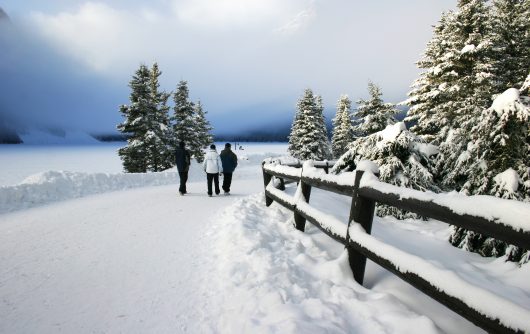 Three people walking through park in winter