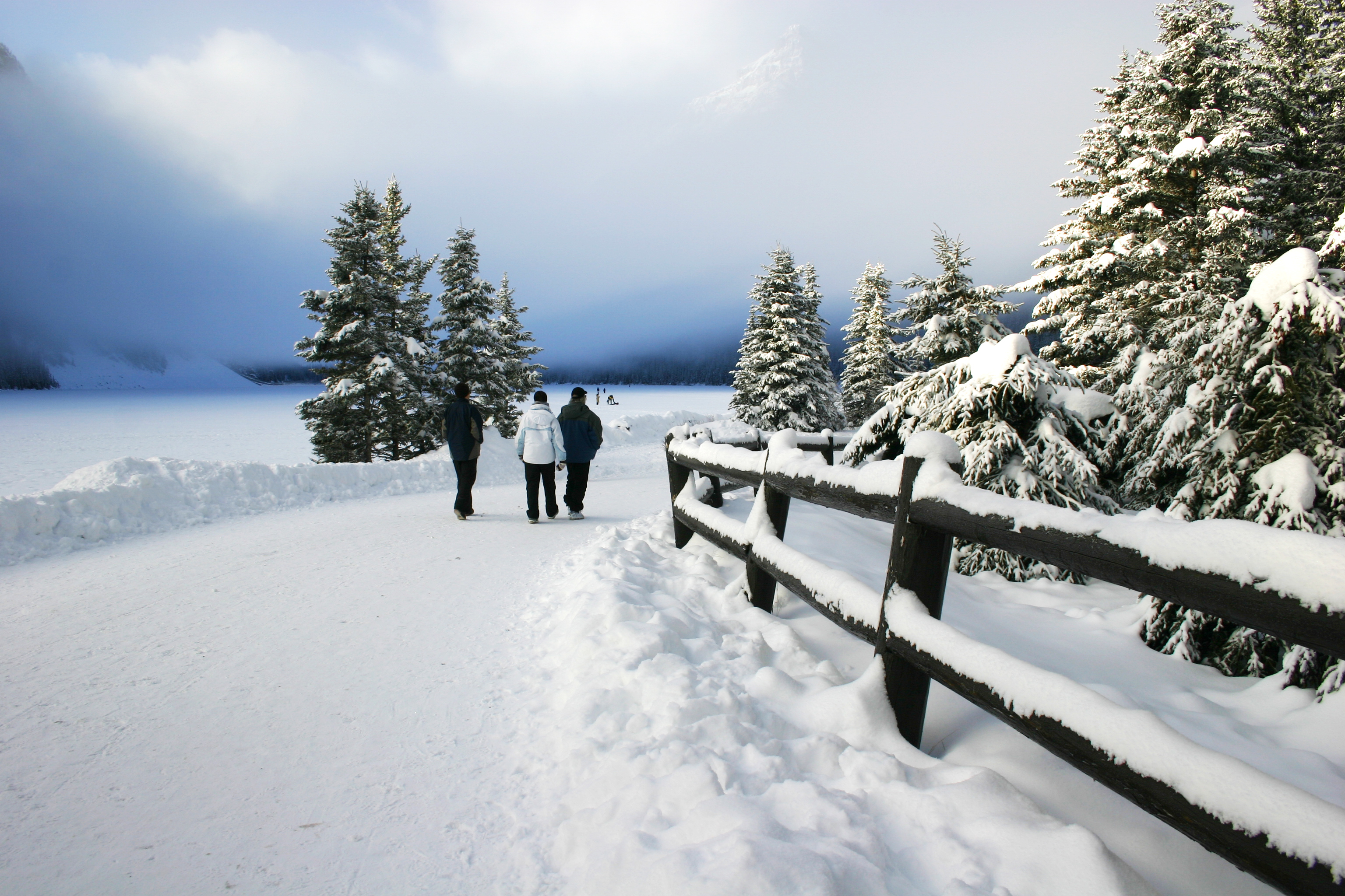 Three people walking through park in winter