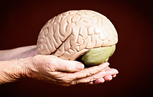 senior hands holding brain