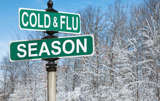 cold and flue season logo