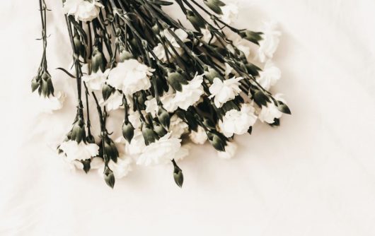 white flowers