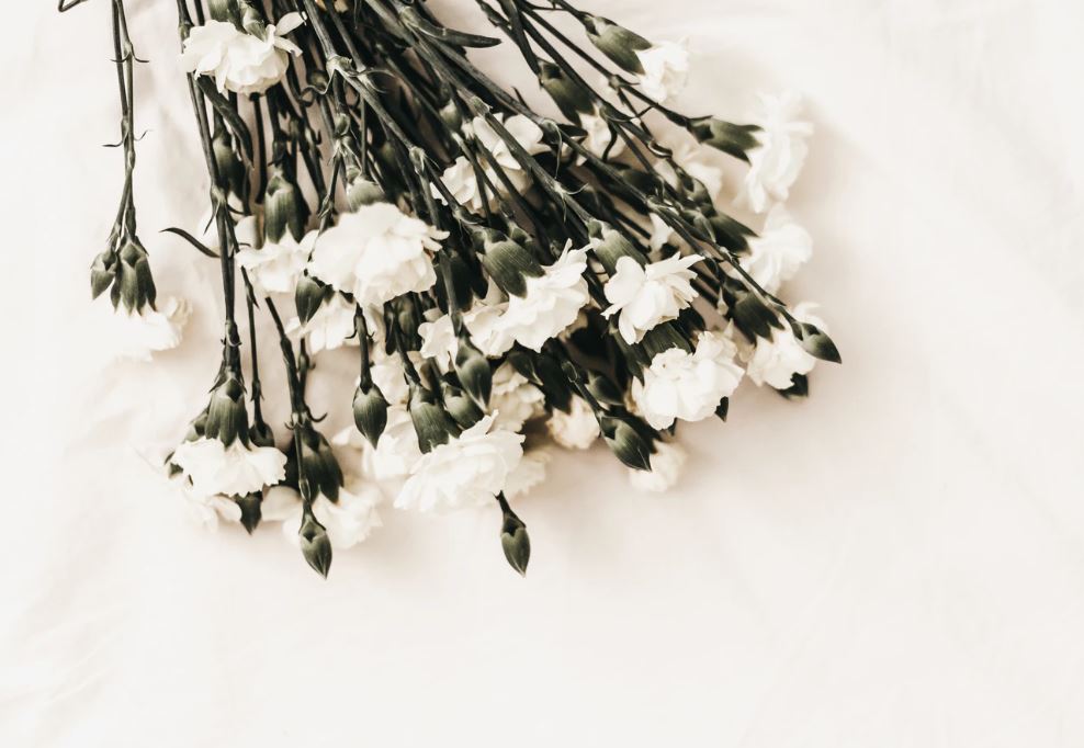 white flowers