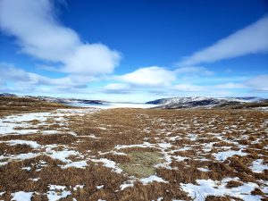 Paysage nordique, monts de neige et ciel