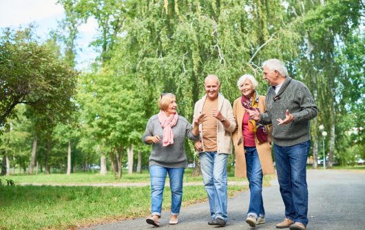 Group of seniors walking and talking in park