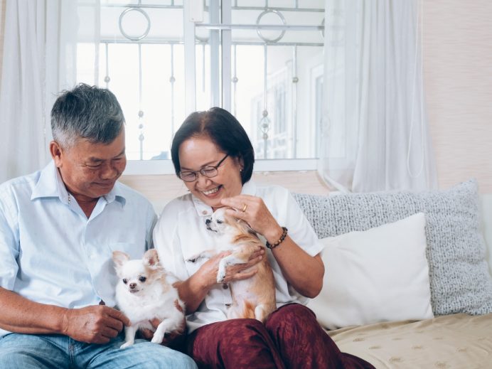 Home parents with dogs