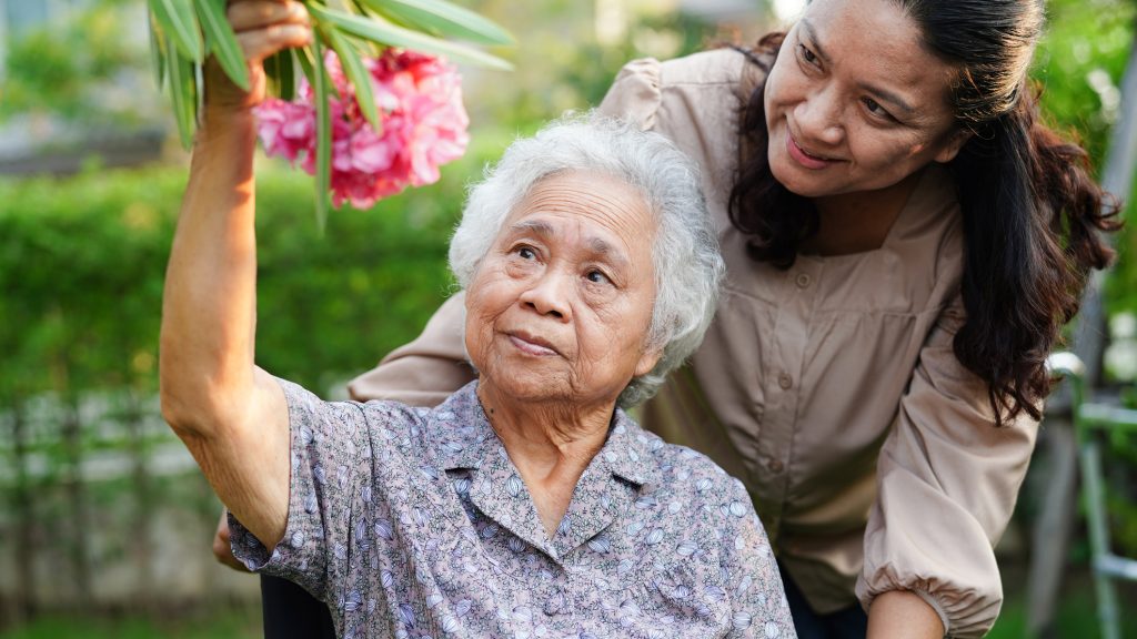 Asian elderly woman enjoy in flower garden with caregiver in park.