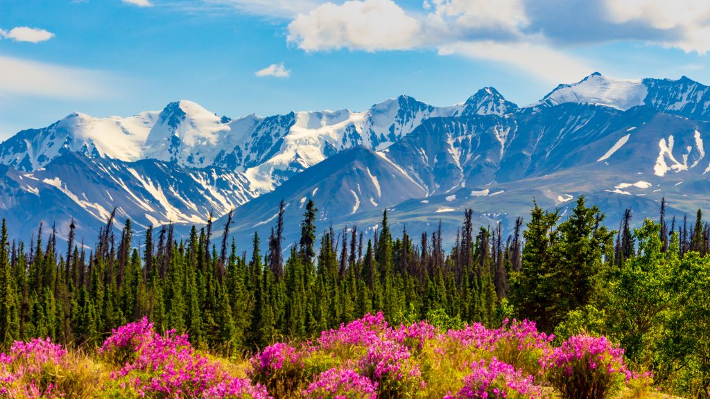 Yukon Snowy Mountain