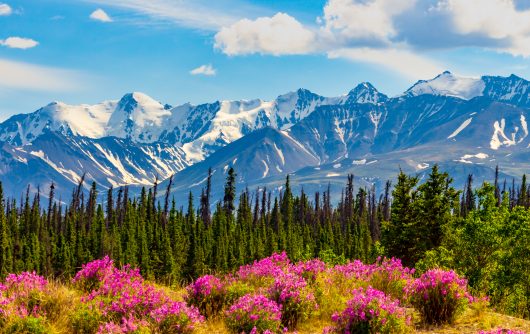 Yukon Snowy Mountain