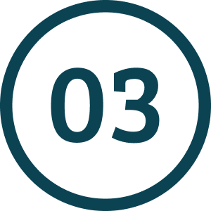 3
