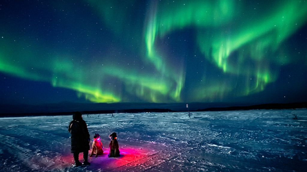 A trio on a snowy landscape under vibrant green Northern Lights. The ground glows with a soft red light, creating a serene and awe-inspiring atmosphere.